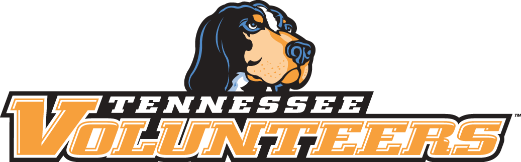 Tennessee Volunteers 2005-Pres Wordmark Logo diy iron on heat transfer